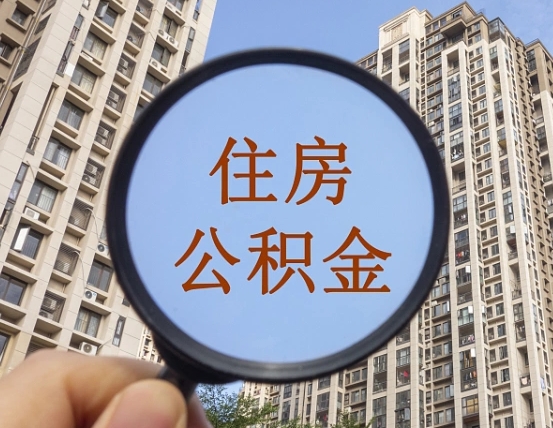阳春公积金自动离职可以取吗（住房公积金自动离职可以取吗）